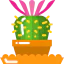 Cactus icon 64x64
