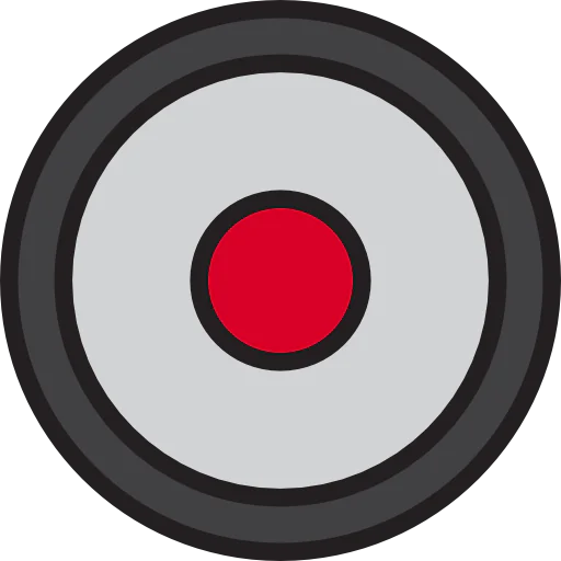 Record icon