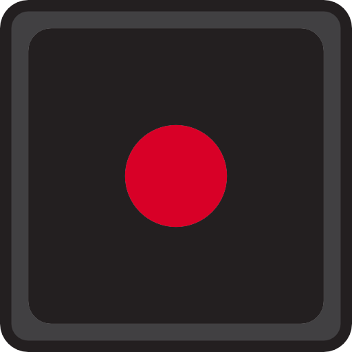 Record icon