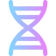 Dna icon 64x64