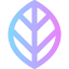 Leaf icon 64x64