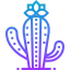Cactus icon 64x64