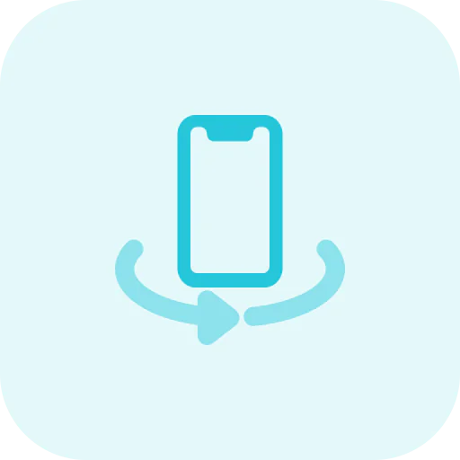 Flip icon