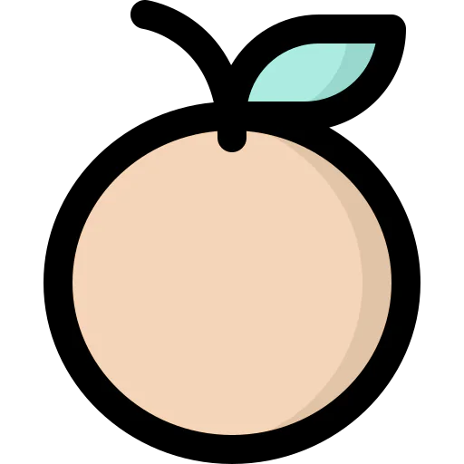 Orange icon