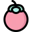 Mangosteen icon 64x64
