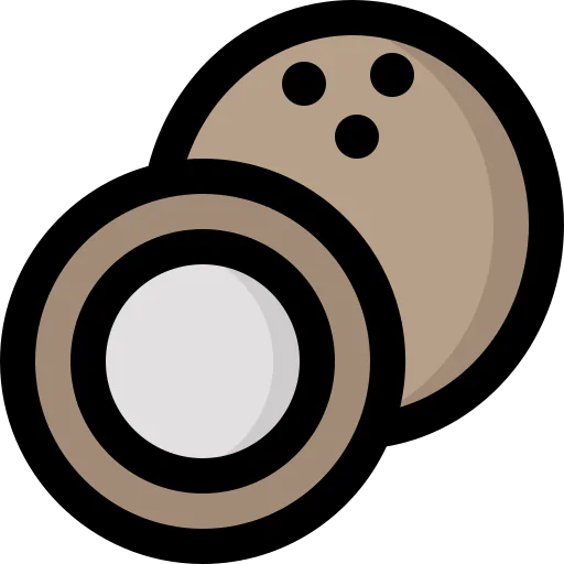 Coconut icon