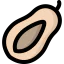 Papaya icon 64x64