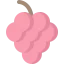Grapes icon 64x64
