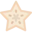 Starfruit icon 64x64
