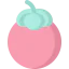 Mangosteen icon 64x64