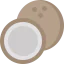 Coconut icon 64x64