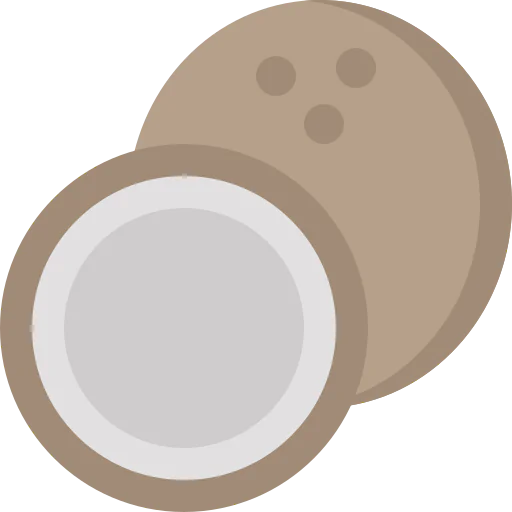 Coconut icon