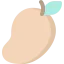 Mango icon 64x64