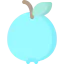 Guava icon 64x64