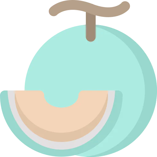 Melon icon