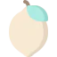 Lemon icon 64x64