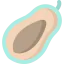 Papaya icon 64x64