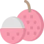 Lychee icon 64x64