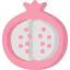 Pomegranate icon 64x64