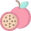 Passion fruit アイコン 64x64