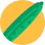 Cucumber icon 64x64
