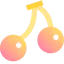 Cherry icon 64x64