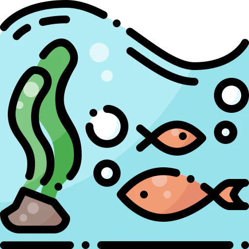 Pond icon