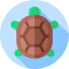 Turtle icon 64x64