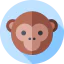 Monkey Ikona 64x64