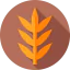 Wheat Ikona 64x64
