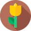Flower Ikona 64x64