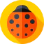 Ladybird Ikona 64x64