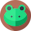 Frog Ikona 64x64