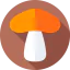 Mushrooms Ikona 64x64