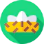 Nest Ikona 64x64