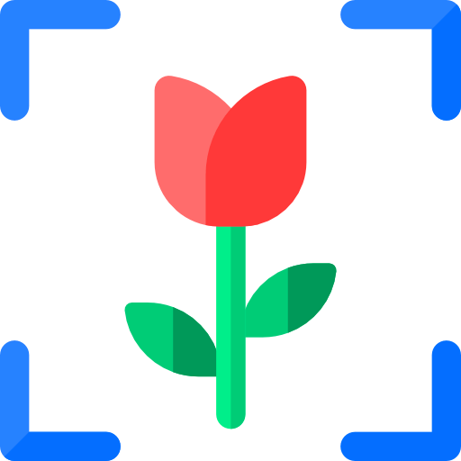 Macro icon
