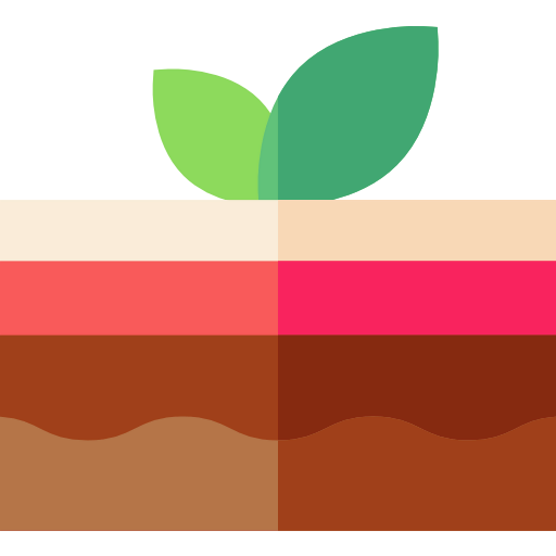 Cake icon