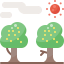 Fruit tree アイコン 64x64