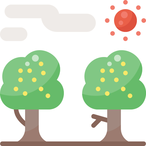 Fruit tree icon