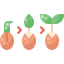 Growing seed icône 64x64