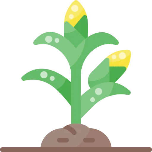 Corn icon