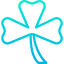 Clover icon 64x64