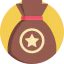Bagful icon 64x64