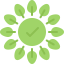 Leaf icon 64x64