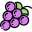 Grapes icon 64x64