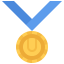 Medal icon 64x64