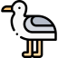 Seagull icon 64x64