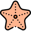 Starfish icon 64x64