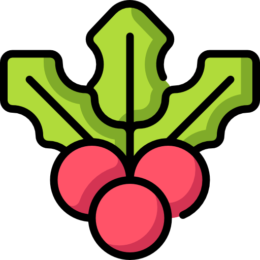 Mistletoe icon
