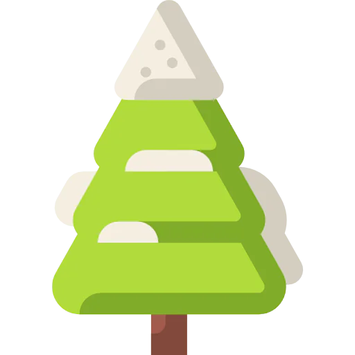 Pine icon